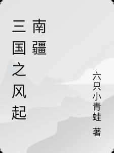 三国之风舞九天免费阅读