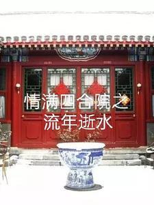 情满四合院24集