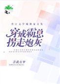 穿成霸总拐走炮灰 作者昔我有梦