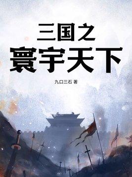 三国之天下r