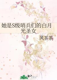 她是S级哨兵们的白月光圣女免费笔趣阁